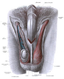 Thumbnail for version as of 22:29, 8 June 2026