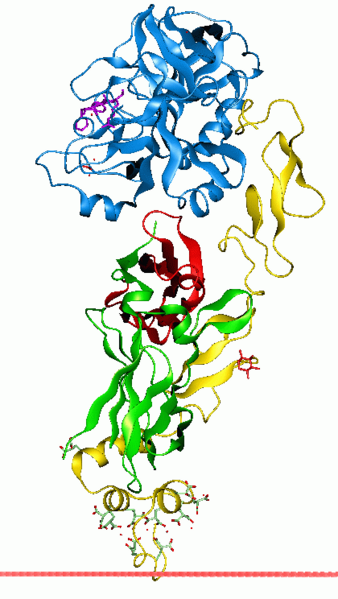 File:1dan opm.png