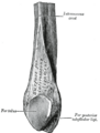 Thumbnail for version as of 17:28, 18 May 2026