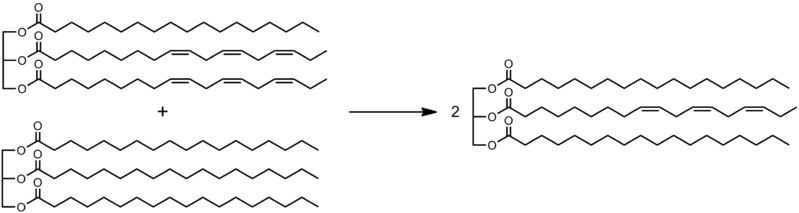 File:Interesterification.png