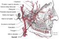 Thumbnail for version as of 13:40, 23 May 2026