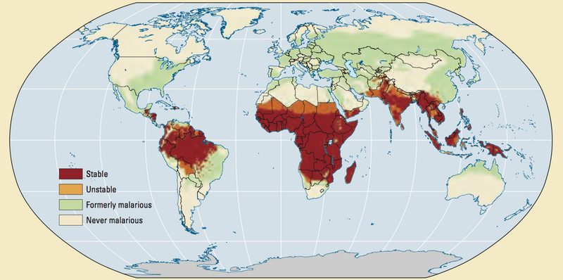 File:World-map-of-past-and-current-malaria-prevalence-world-development-report-2009.png