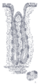 Thumbnail for version as of 17:28, 18 May 2026