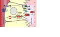 Thumbnail for version as of 22:31, 8 June 2026
