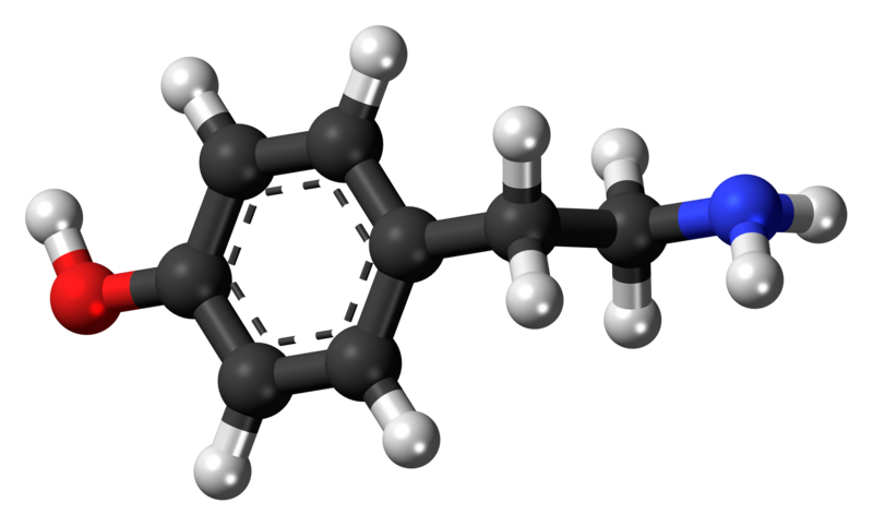 File:Tyramine 3D ball.png
