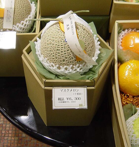 File:03-05-JPN202.jpg