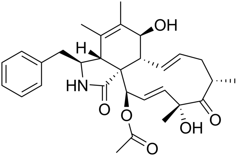 File:Cytochalasin C.png