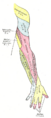 Thumbnail for version as of 17:28, 18 May 2026