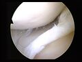 Thumbnail for version as of 22:31, 8 June 2026