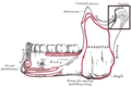 Thumbnail for version as of 09:20, 30 May 2026
