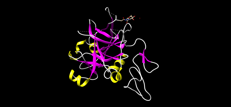 File:Proteinz.png