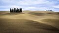 Thumbnail for version as of 22:35, 8 June 2026