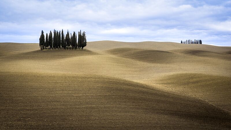 File:I cipressi della Val D'Orcia.jpg