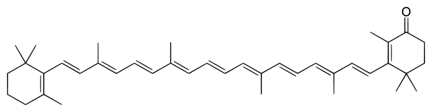 File:Echinenone.svg