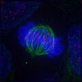 Thumbnail for version as of 22:32, 8 June 2026