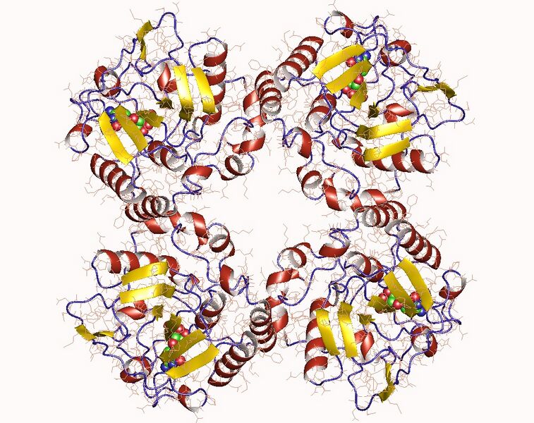 File:1ro8.jpg