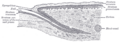Thumbnail for version as of 17:28, 18 May 2026