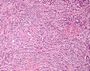 Thumbnail for version as of 22:35, 8 June 2026
