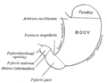 Thumbnail for version as of 17:28, 18 May 2026