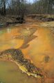 Iron hydroxide precipitate in stream