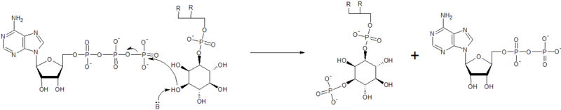 File:PI3kinase mechanism.png