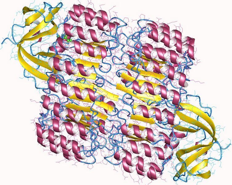 File:1z7x.jpg