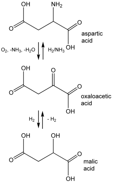 File:Oxaloac-malic.png