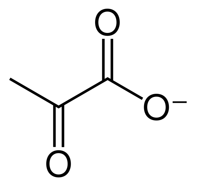 File:Pyruvate skeletal.svg