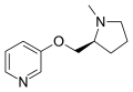 Thumbnail for version as of 11:33, 19 May 2026