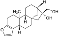 Thumbnail for version as of 11:32, 19 May 2026