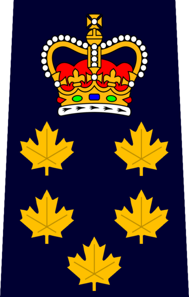 File:AHS Chief Paramedic.png