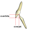Thumbnail for version as of 09:20, 30 May 2026