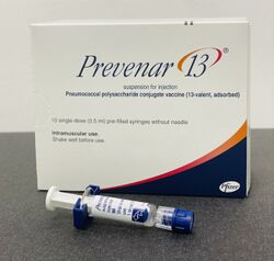 Prevenar, Pneumococcal conjugate vaccine