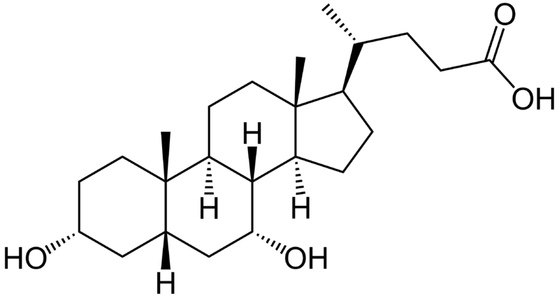 File:Chenodeoxycholic acid.png