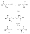 Thumbnail for version as of 02:09, 24 May 2026