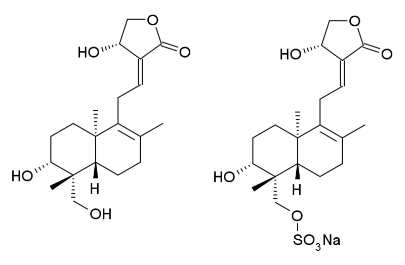 File:Xiyanping structure.png