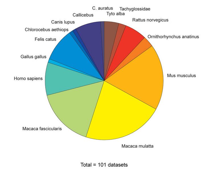 File:Brainmaps4.jpg
