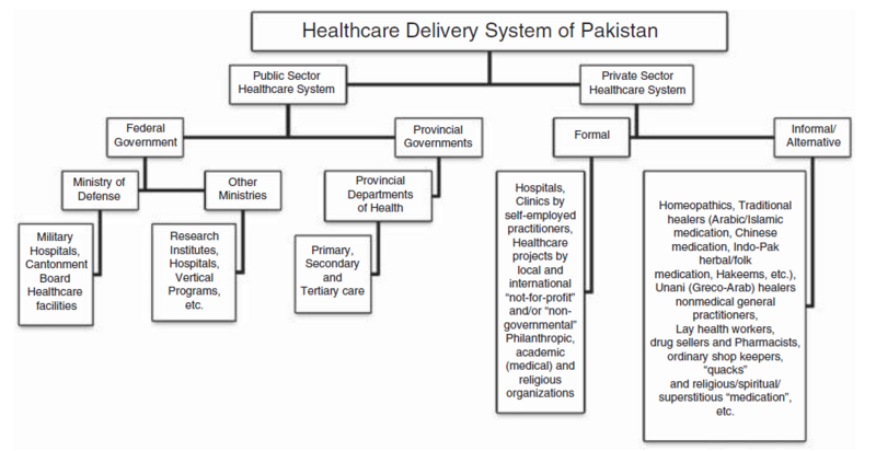 File:Healthcare Delivery System of Pakistan.png