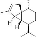 Thumbnail for version as of 22:37, 8 June 2026