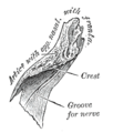 Thumbnail for version as of 17:28, 18 May 2026