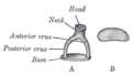 Thumbnail for version as of 17:27, 18 May 2026