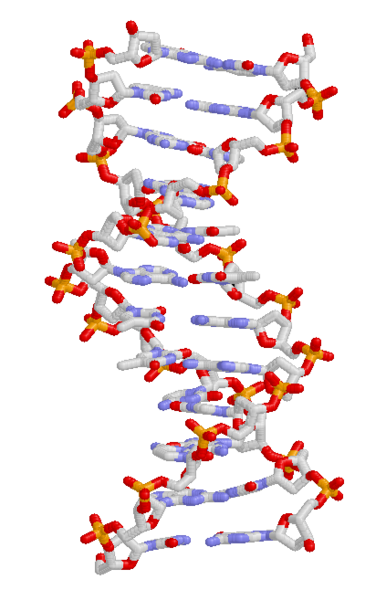 File:ADN static.png
