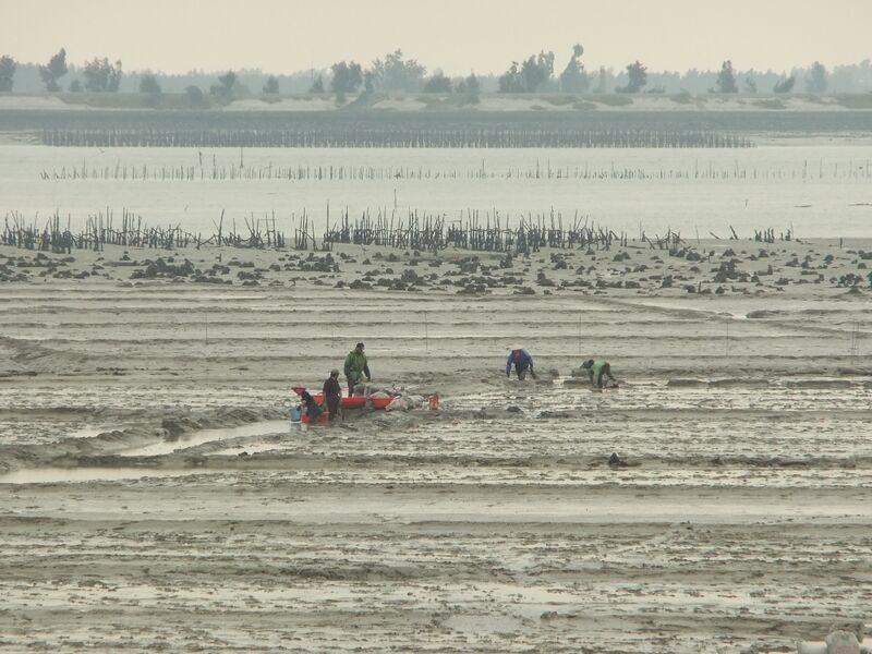 File:Anhai Bay - DSCF8875.JPG