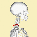 Thumbnail for version as of 12:47, 29 May 2026