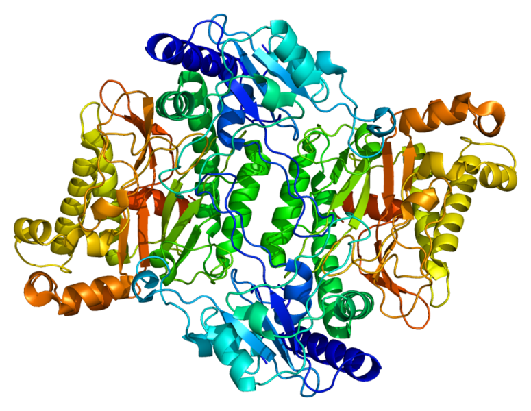 File:Protein PEPD PDB 2iw2.png