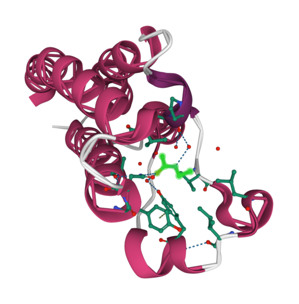 File:3P1CBromodomainofCBPHumanProtein.png