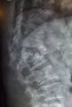 Thumbnail for version as of 22:31, 8 June 2026