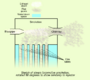 Thumbnail for version as of 22:37, 8 June 2026