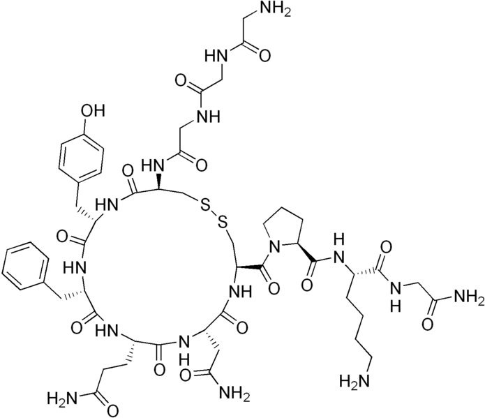 File:Terlipressin.png
