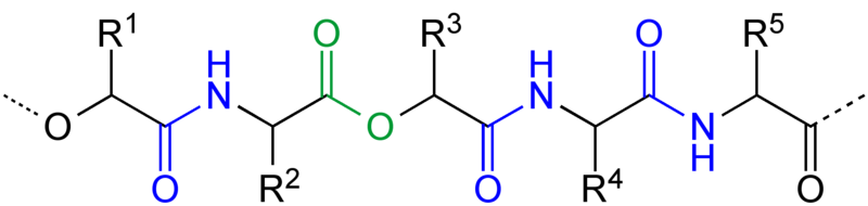 File:Depsipeptide Principle V.1.png